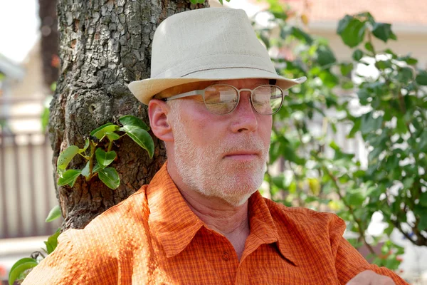 Senior macht Schläfchen unter Baum — Stockfoto