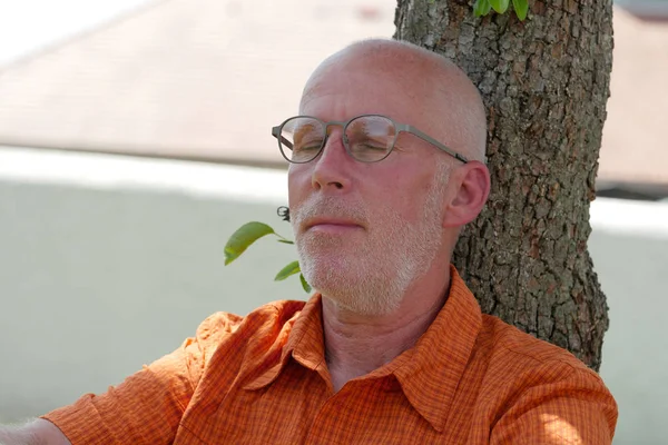 Senior macht Schläfchen unter Baum — Stockfoto