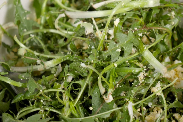 Salada de dente de leão, close-up — Fotografia de Stock