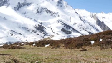kar, col du yaylı Pirenelerde fiyatı Soulor