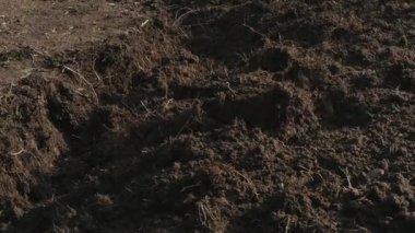 Bahçe, ağır çekim spading kişinin yakın çekim