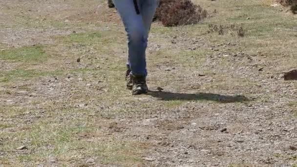 Closeup των ποδιών του γυναίκα πεζοπόρος περπατώντας ένα μονοπάτι — Αρχείο Βίντεο