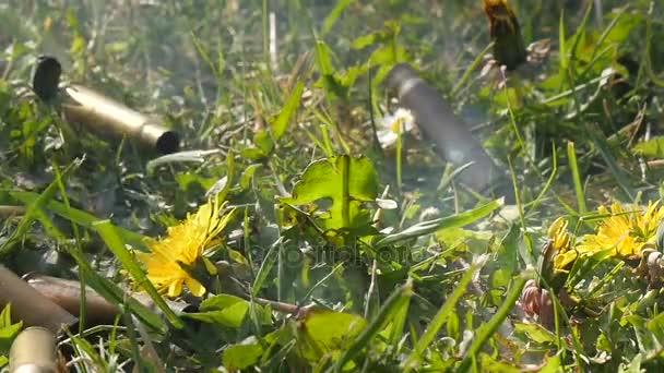 Ağır çekimde çimlerin üzerine düşen tüfek mermi kabuk — Stok video