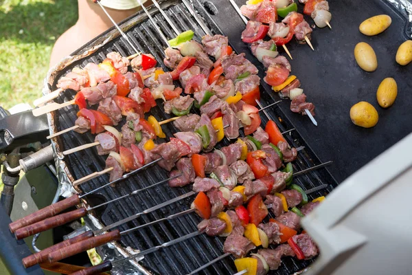 Skewers of meat and vegetables on  barbecue — Stock Photo, Image