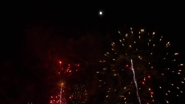 Fuochi d'artificio illuminano il cielo — Video Stock