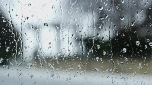 Regn på fönstret — Stockvideo