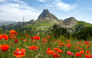 Fransızca Pyrenees, Pic du Midi d'Ossau görünümünü alan p ile