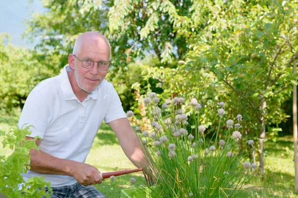 Homem sênior bonito em seu jardim — Fotografia de Stock