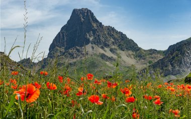 Fransızca Pyrenees popp ile Pic du Midi d'Ossau görünümünü