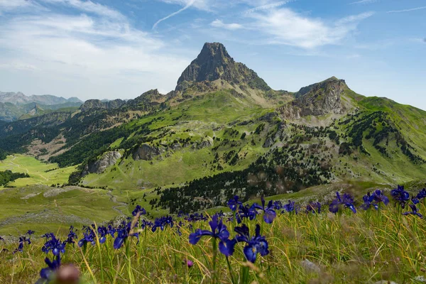 View of the Pic du Midi d 'Ossau in the French Pyrenees — стоковое фото