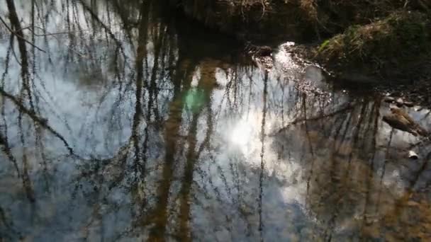 Een kleine rivier in de winter — Stockvideo