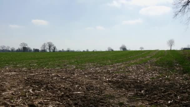 Landschap van het platteland in het voorjaar — Stockvideo
