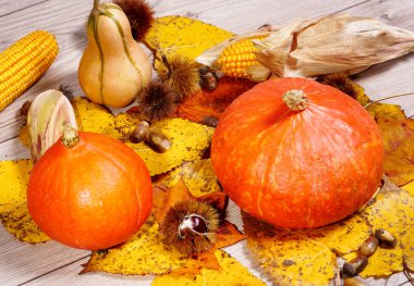 Sonbahar dekorasyon colorfu gibi doğal elemanları ile düzenlenmiş