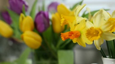 jonquils ve Lale vazo içinde