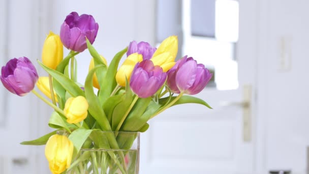 Mulher com tulipas em um vaso — Vídeo de Stock