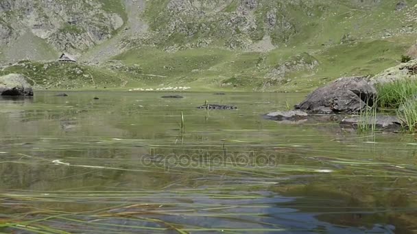 Montanha Lago nos Pirinéus — Vídeo de Stock