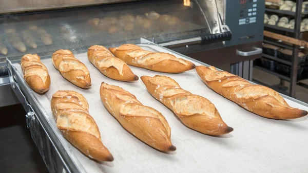 Fırından alınan ekmek Fransız — Stok fotoğraf
