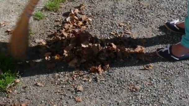 Une femme balayant les feuilles mortes dans le jardin — Video