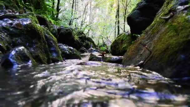 Pyrenéerna basker, vattenfall i raviner i Kakuetta — Stockvideo