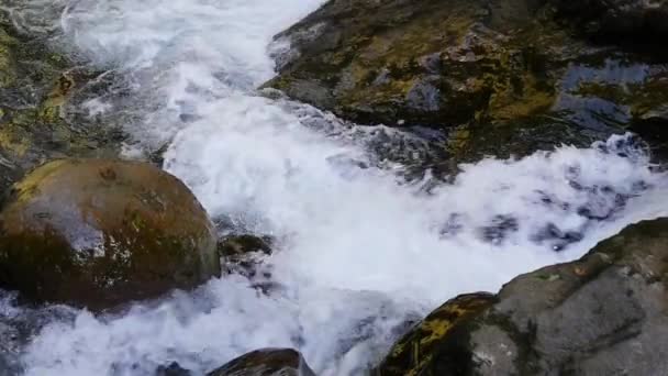 Vattenfall på en mountain river, ravinerna i Kakuetta. — Stockvideo