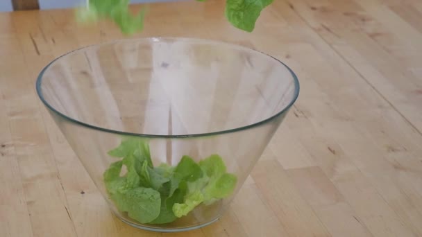 Салат из салата в стеклянную миску, замедленная съемка — стоковое видео
