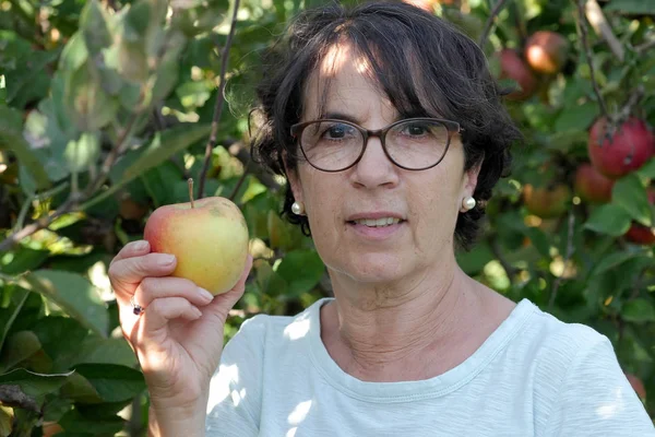果园里摘苹果的女人 — 图库照片