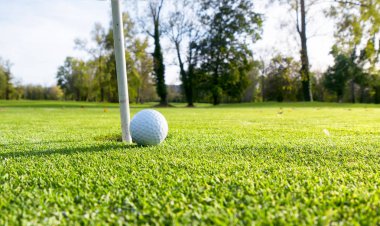 Bahçedeki golf topu.