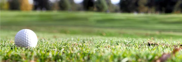 Мяч для гольфа на лужайке — стоковое фото
