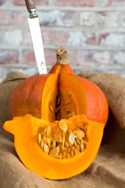 Eski bir tuval üzerine taze kabak