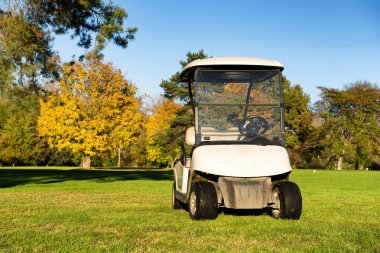 Bir golf sahasında golf arabaları