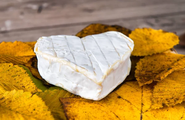 Französisch Neufchatel Käse geformten Herzen auf Herbstblättern — Stockfoto