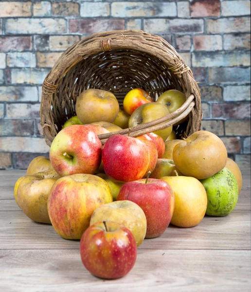 Корзина с яблоками, пролитыми на стол — стоковое фото