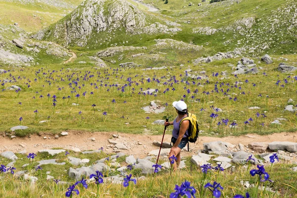 Mogen kvinna vandring i Pyrenéerna — Stockfoto