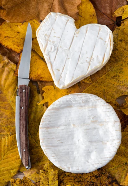 Neufchatel kaas en Camembert kaas van Normandië — Stockfoto