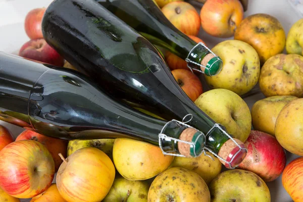 Biologische verse appels met fles van Normandië cider — Stockfoto