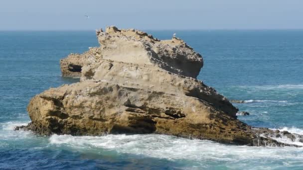 Ondas Oceânicas Praia Biarritz França — Vídeo de Stock