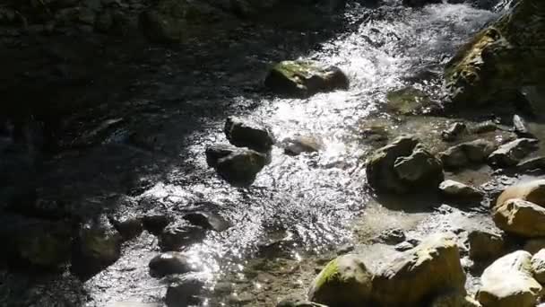 Pyrnes 巴斯克人 Kakuetta 慢动作的峡谷中的瀑布 — 图库视频影像