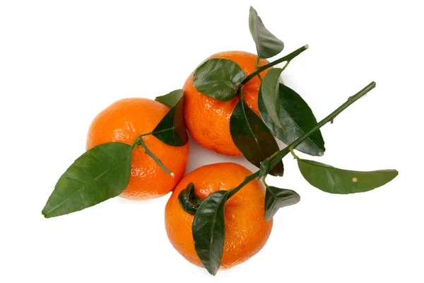 Três tangerinas isoladas sobre fundo branco — Fotografia de Stock