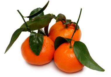 Beyaz arka plan üzerinde izole 3 mandalina