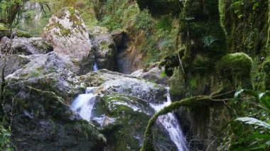 Şelale bir dağ nehir, Kakuetta gorges üzerinde. ağır çekim