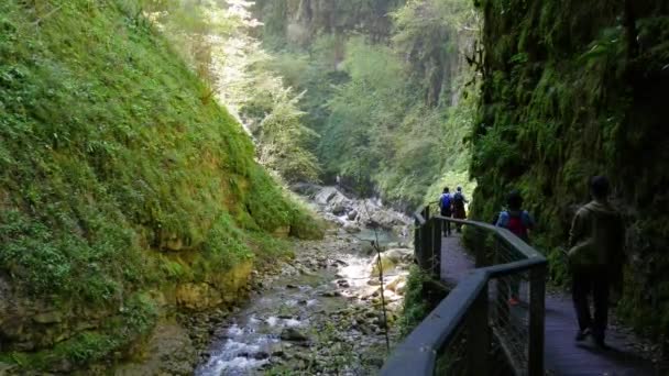 Pyrnes Basques Cascade Dans Les Gorges Kakuetta — Video