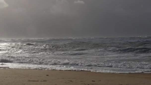 Tiempo Tormenta Oceánica Con Olas Enormes Biarritz Francia — Vídeos de Stock