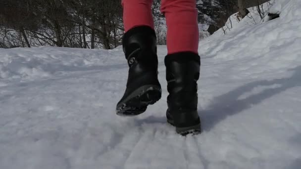 Primo Piano Dei Piedi Che Camminano Sulla Neve Rallentatore — Video Stock