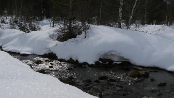 Río Montaña Con Nieve — Vídeos de Stock