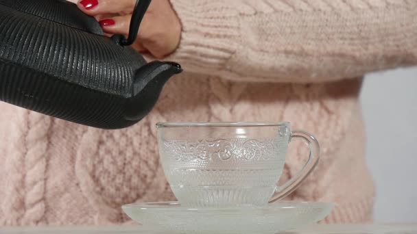 Κοντινό Πλάνο Του Χέρια Των Ώριμη Γυναίκα Πίνοντας Ένα Τσάι — Αρχείο Βίντεο