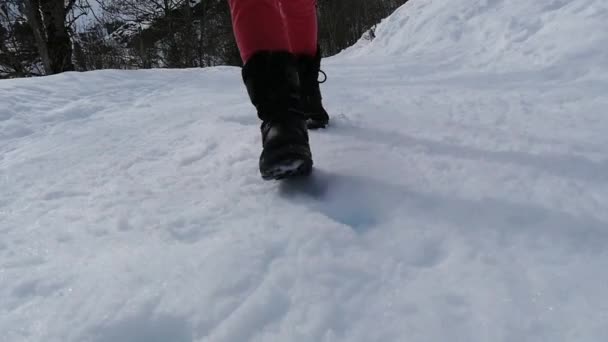 Detailní Záběr Nohy Chůzi Sněhu Pomalý Pohyb — Stock video