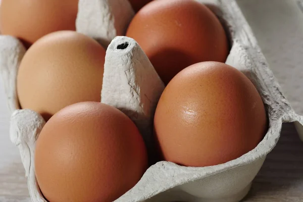 Ägg i panelen ägg — Stockfoto