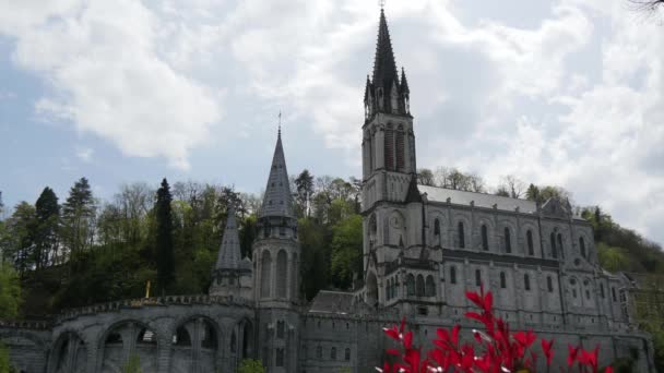 Francia Lourdes Veduta Della Cattedrale Lourdes Francia — Video Stock