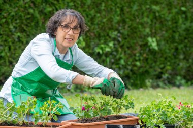 Olgun kadın Sardunya çiçekleri Çömlekçilik