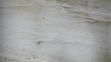 arabanın içinde bir su birikintisi yağmur sırasında